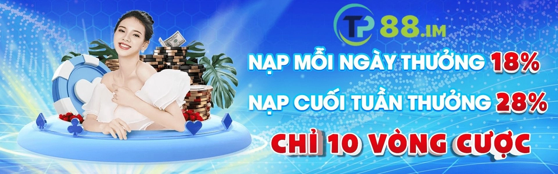 banner-tp88-im